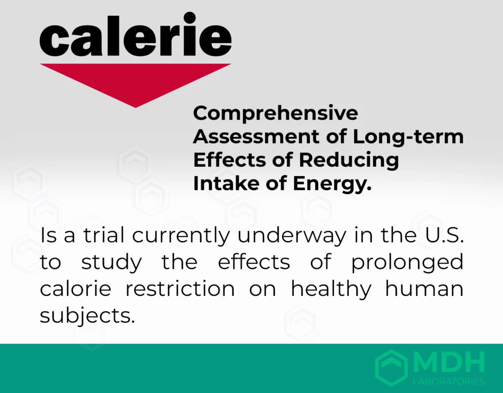 IMG_NEWS_calorie-restricion-CALERIE_EN.webp