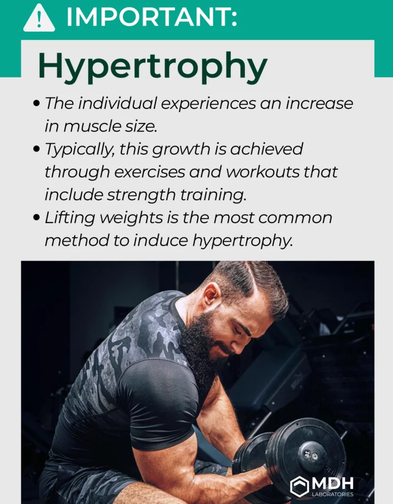 IMG_NEWS_bad-babits-for-muscular-growth-hypertrophy_EN.webp