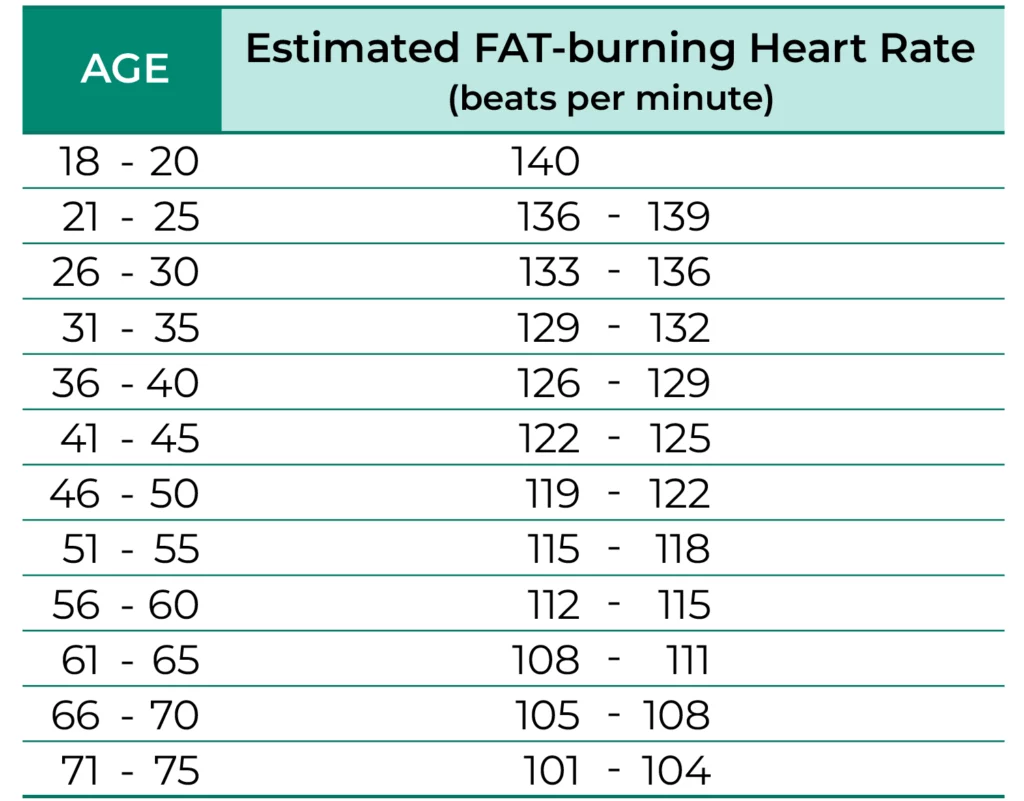 IMG_NEWS_heart-rate-chat-fat-burning_EN.webp